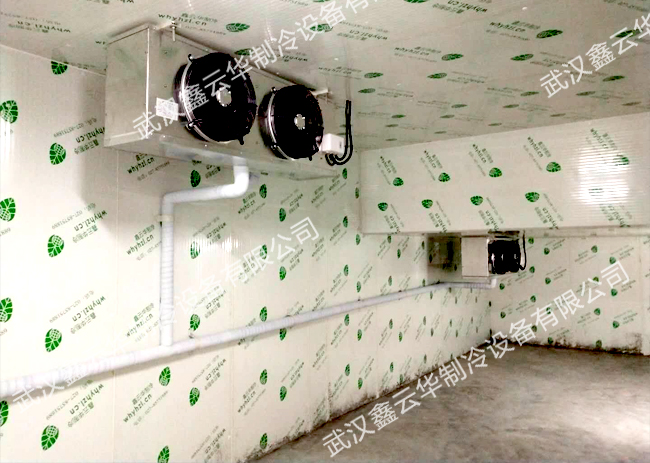 1564111628545978.jpg 1564111628545978.jpg