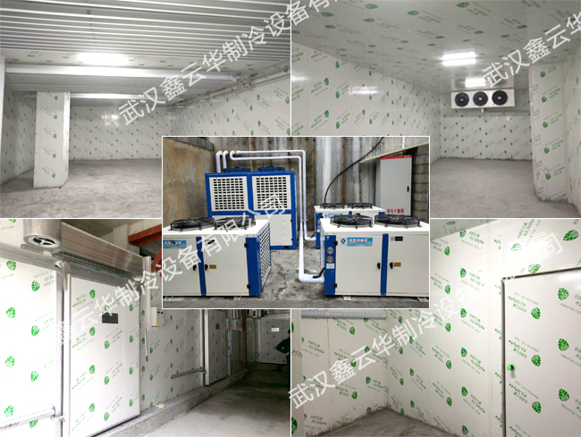 1564123782460811.jpg 1564123782460811.jpg