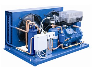 黃石風(fēng)冷型壓縮冷凝機(jī)組