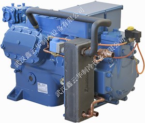 恩施新型雙級內(nèi)置活塞機