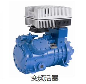 黃石變頻活塞
