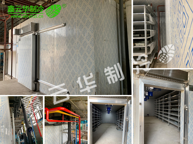 黃岡仙桃農業(yè)速凍庫項目展示