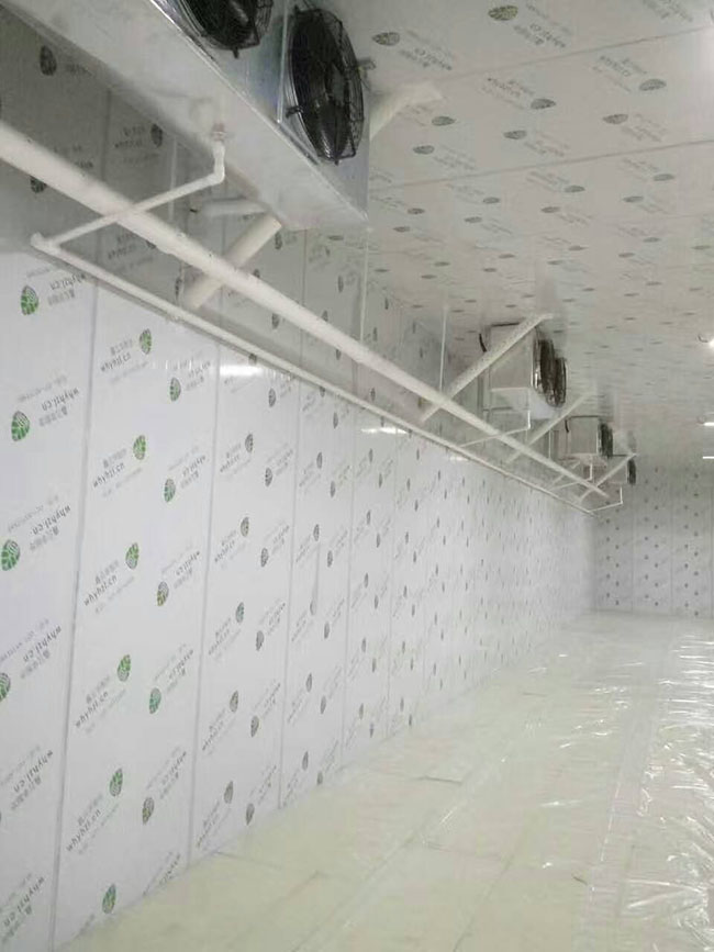 1564556621658142.jpg 1564556621658142.jpg