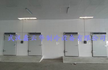 1564557075915959.jpg 1564557075915959.jpg